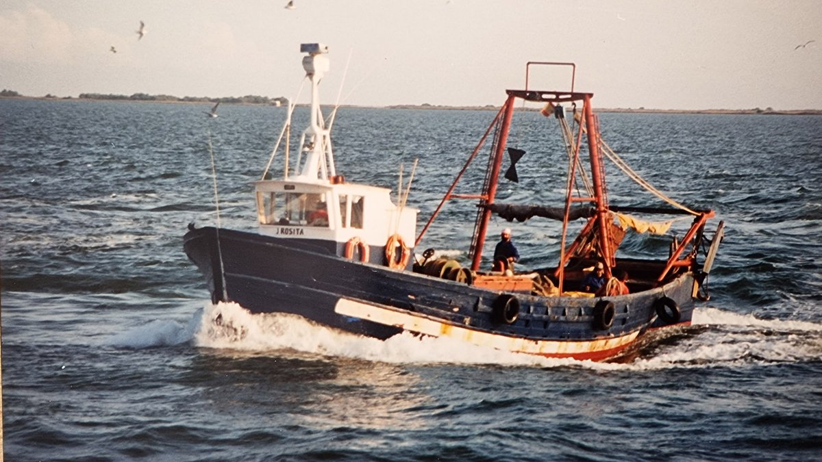 Imagen de Capitol 5 - 1990